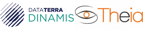 Logos DINAMIS THEIA